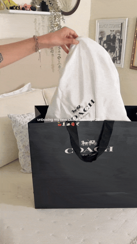 Longchamp Tote Bag