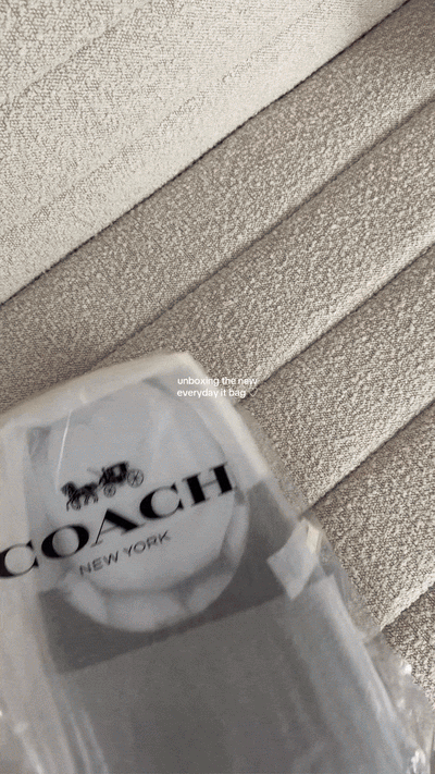 Longchamp Tote Bag
